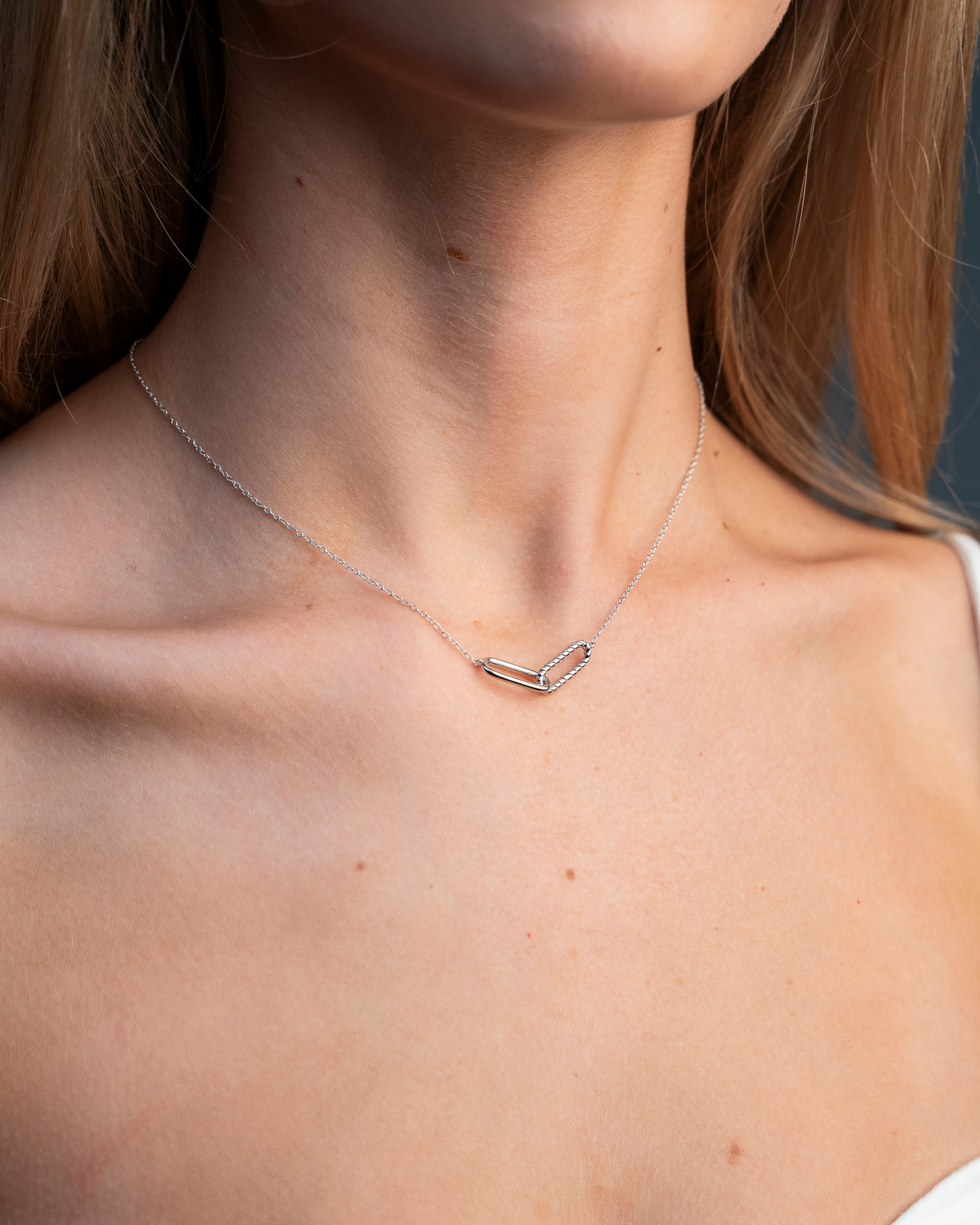 Phoenix Twist Link Necklace