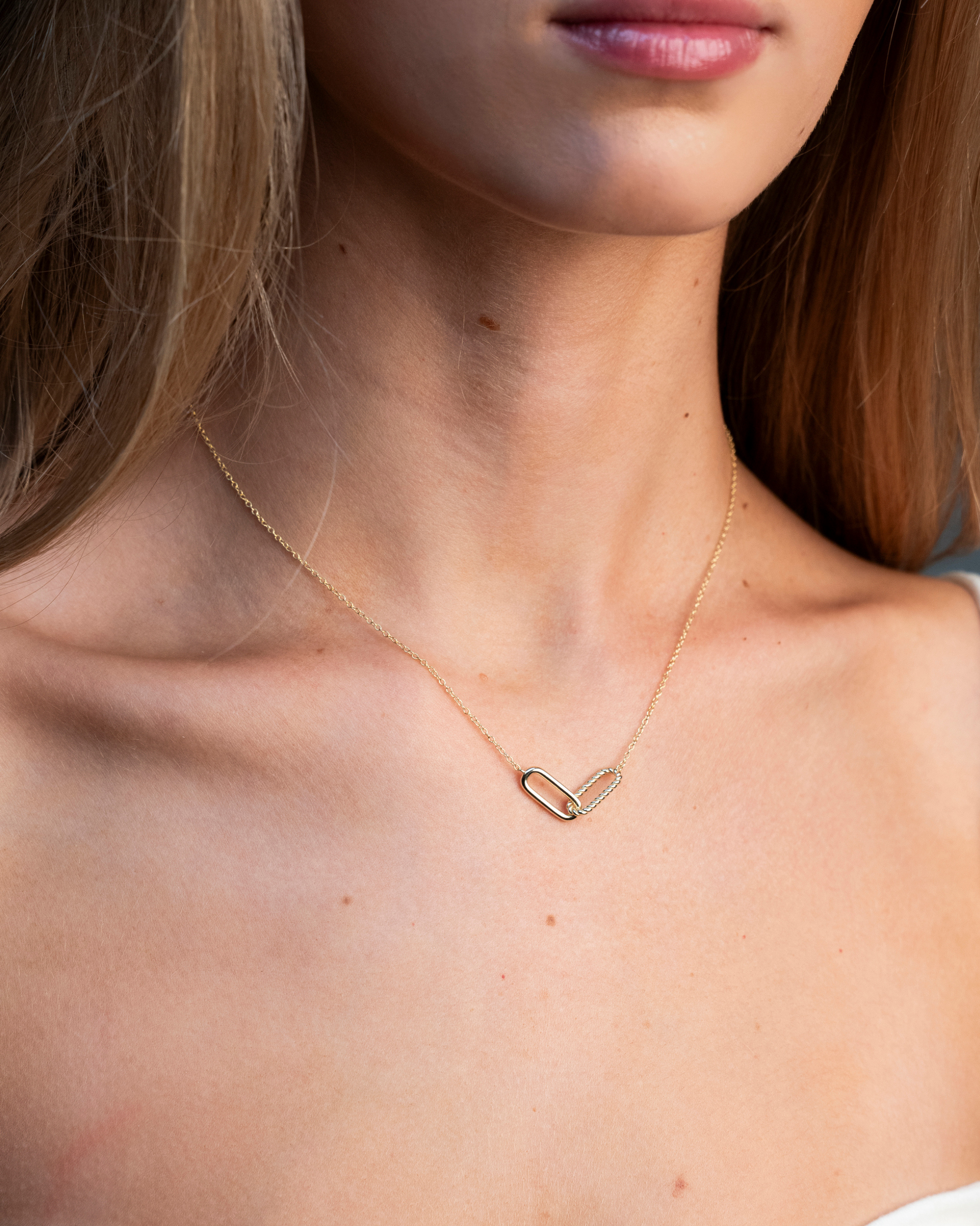 Phoenix Twist Link Necklace